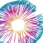 How To Use Psychedelics Safely – With Psychedelics Today Host Kyle Buller